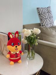 -联合丽格·张菡丽格医疗美容