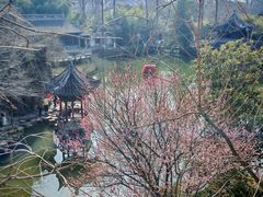 -水绘园