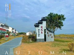 -莲花岛景区