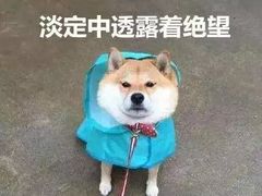 -万达广场(沈阳铁西店)