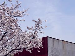 -龙美术馆(西岸馆)