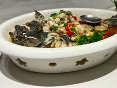 川椒海鲈鱼-富黎华海鲜大酒楼(正大广场店)