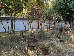 -观唐（国际）度假村温泉