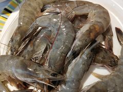 -吉布鲁牛排海鲜自助(芙蓉万家丽店)