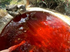 -大理地热国