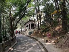 -灵岩山风景区