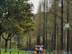 -东钱湖旅游度假区