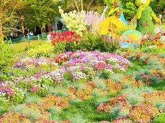 -上海共青森林公园