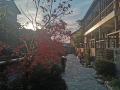 -黄陂区野村谷景区