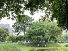 -后襄河公园