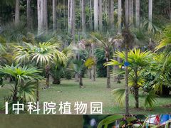 -中国科学院西双版纳热带植物园
