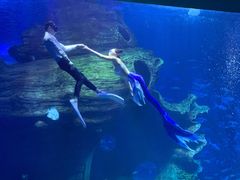 -多彩贵州城极地海洋世界