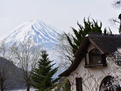 -河口湖八音盒之森美术馆