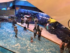 -暹罗海洋世界