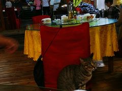 -龙姐私房菜(和顺古镇店)