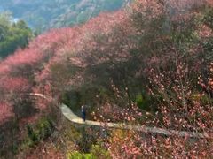 -新安江山水画廊风景区