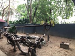 -深圳野生动物园