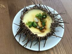 海胆蒸蛋-海胆小馆(东北水饺·春柳店)
