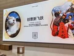 -Apple零售店(济南恒隆广场店)