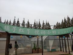 -前小桔亲子创意农场·草莓采摘·露营烧烤