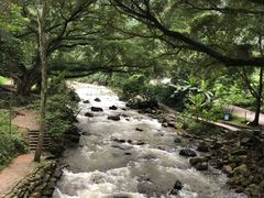 -广州市石门国家森林公园