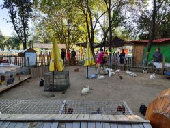 -浅山蜜塘奇妙乐园·亲子营地