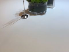 -眉州东坡(博雅店)