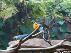 -杭州野生动物世界