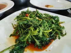 -喜洲翰林餐厅(董家百年老宅店)