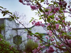 -帐篷客·溪龙茶谷度假酒店