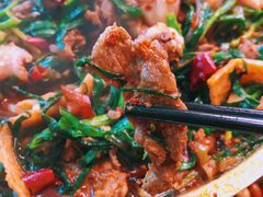 牛肉八带-京玉菲饭店(李村店)