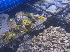 -花西亭·海鲜自助餐厅(瑞城名人酒店)