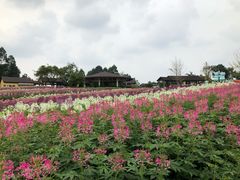 -保利石象湖景区