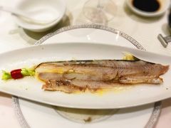 -皇朝尊会(龙之梦大酒店)