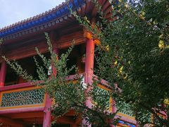 -西宁市东关清真大寺