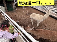 -丽泽山庄·生态怀柔菜·虹鳟鱼(红螺寺店)
