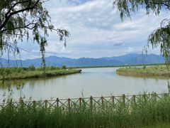 -野鸭湖国家湿地公园
