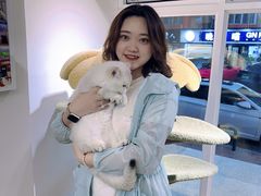 -青奢宠物·青奢猫舍