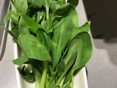 -海底捞火锅(方塔东街店)