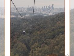 -紫金山山顶公园