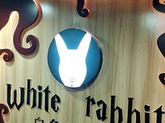 -白兔子密室(长寿路店)