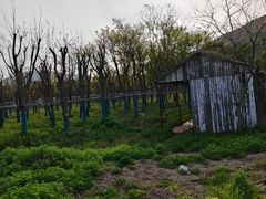 -平湖九龙山旅游度假区