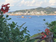 -枸杞岛