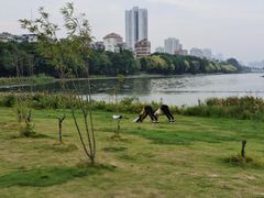 -南宁南湖公园