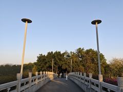 -广东花都湖国家湿地公园