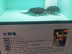 -太原动物园