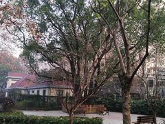 -徐家汇源景区-衡山公园