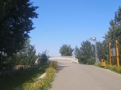 -东郊湿地公园
