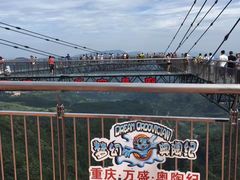 -梦幻奥陶纪景区