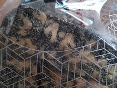 黑芝麻核桃酥-琦王花生(凯德晶品购物中心店)